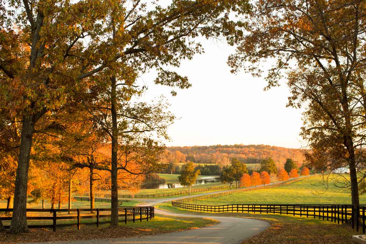 Luxury Homes for Sale