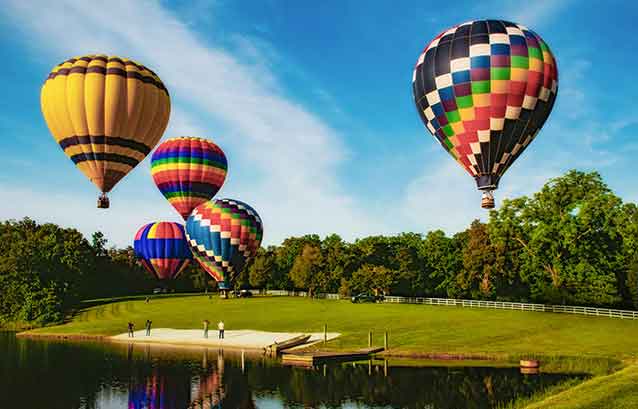 Equestrian Homes for Sale